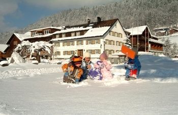 die Sonnigen