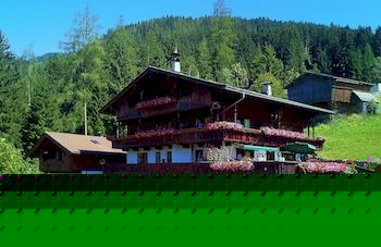 Bergwald