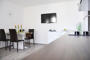 Traditional Apartments Vienna TAV