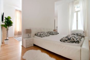 Luxury Apartment in the heart of Vienna