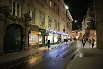 vienna city apt stylish