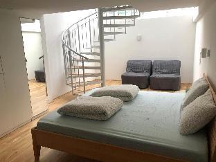 Innsbruck Deluxe Duplex City Loft Apartment