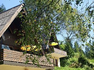 Small pet-friendly holiday park with free Nassfeld card in High Season.