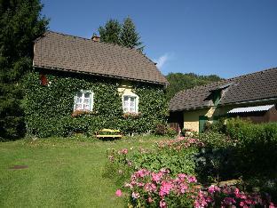 Holiday home in Scheifling  Styria near ski area