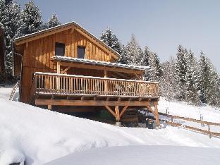Cozy chalet in Stadl an der Mur Styria with sauna near ski area