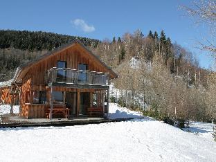 Modern wooden chalet in Stadl an der Mur near Kreischberg ski area with sauna