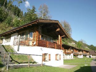 Deluxe chalet with pool in Konigsleiten