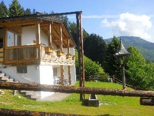 Cozy Chalet in Niederndorf near Kufstein near Ski Area