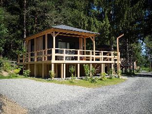 Luxury chalet with ac near Pressegger See