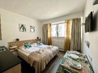 Cosy & bright Vienna studio nearby central station