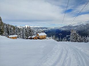 Wellness chalet directly on the ski slope