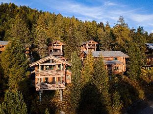 Spacious chalet with infrared sauna