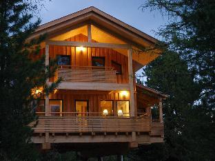 Wooden chalet with infrared sauna