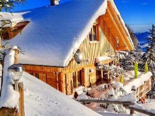 Luxury chalet near the Klippitztorl ski area