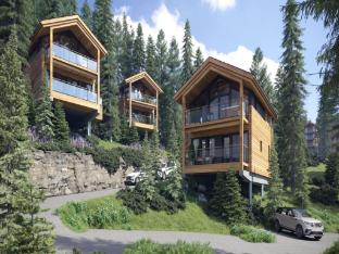 Superior chalet with hot tub