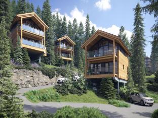 Modern chalet with indoor sauna