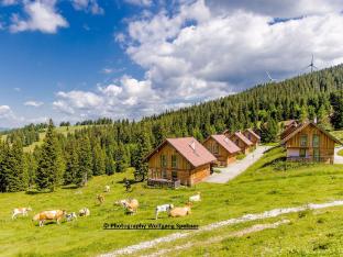 Mountain hut with sauna on the wine plain