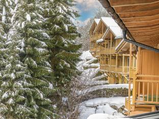 Lush apartment in Viehhofen with sauna