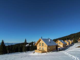 Mountain hut with sauna on Weinebene